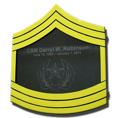 US Army E9 Retirement / Shadow Box Colored